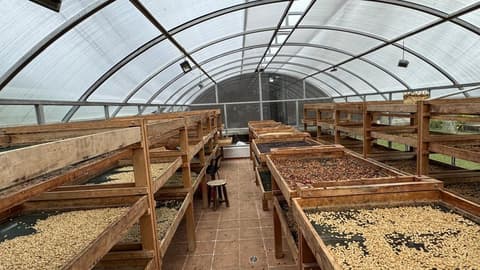 4-Day Pereira Coffee Region Experience, Private Tour