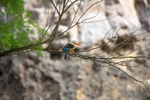 Cape Verde Sao Vicente and Santo Antao