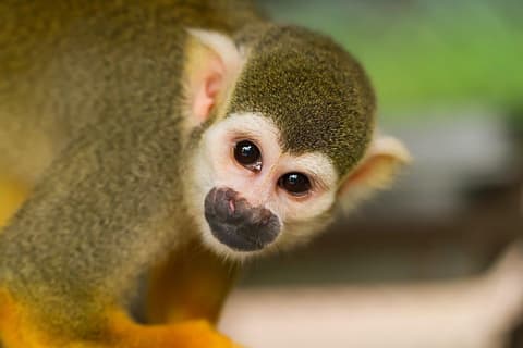 Romantic Adventure in Costa Rica (On Request)