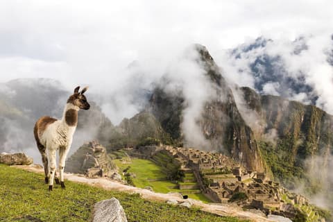 Enigmas of the South