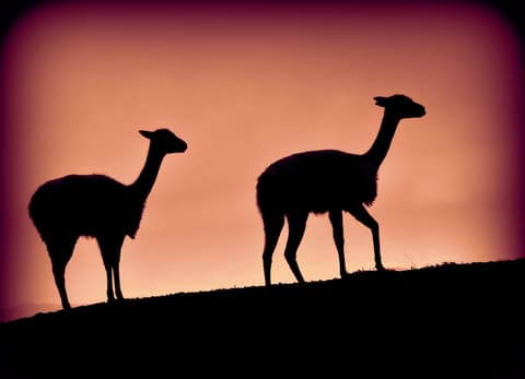 7 Días Avenida Volcán Completa: Cotopaxi, Quilotoa, Baños, Chimborazo, Ingapirca y Cuenca, Tour Privado