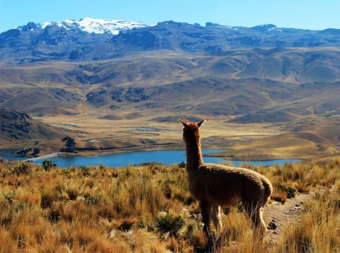 Huaraz, the Heart of the Mountains - Semi-private tour
