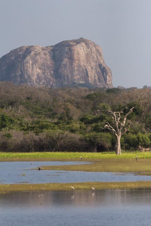 Connected to the Wild, Private Tour 