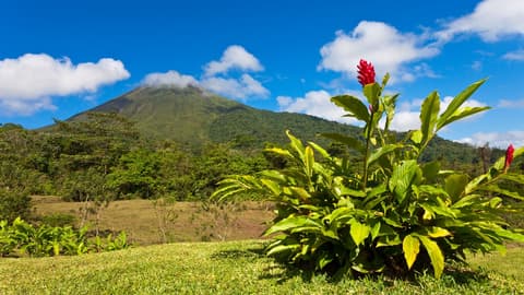 Arenal y Monteverde, Escapada Corta