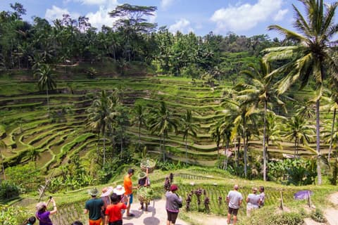 Temples, Volcanoes and Beaches; Private Tour