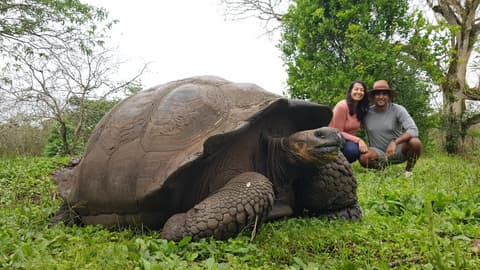 6 Días de Escapada a las Galápagos: Senderos Volcánicos y Encuentros con la Vida Silvestre