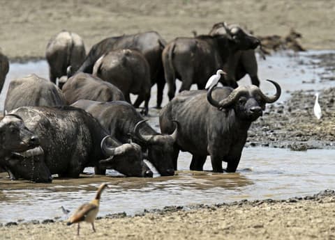 Por el valle del Rift, Sentrim Lodges: recorrido privado