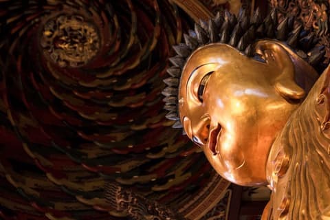 Guerreros y osos panda, tour privado