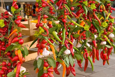 Grand tour of Croatia 8 Days, Self-Drive 