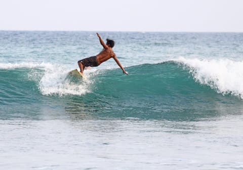 Southern Coast Beach Tour