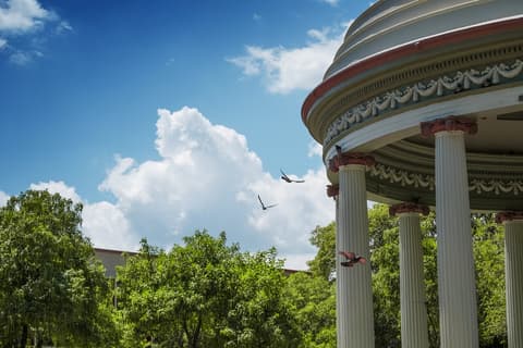 Mystic Forests of Costa Rica