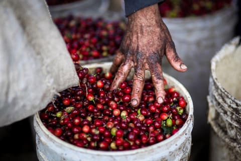 Estadía Única en Costa Rica en Naranjo, Escapada Breve (Bajo Petición)