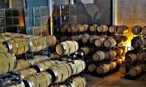 4-Day Mendoza Wine Region Experience