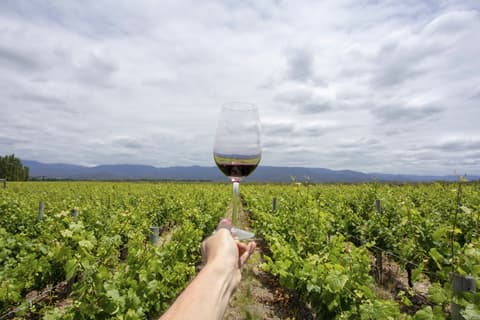 4-Day Mendoza Wine Region Experience