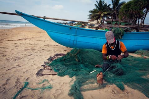 Best of Sri Lanka 7 Days, Private Tour 