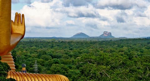 A Glimpse of Culture