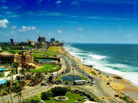 Professional Birding Tour