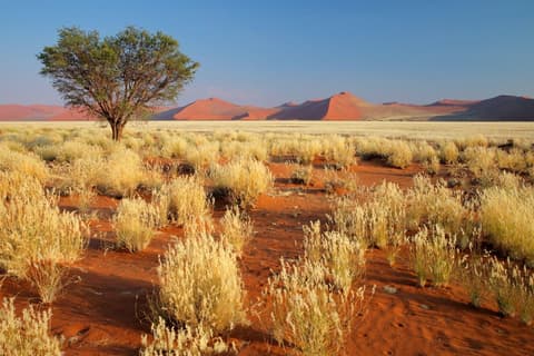 Sossusvlei Region Short Break, Private Tour (On Request)