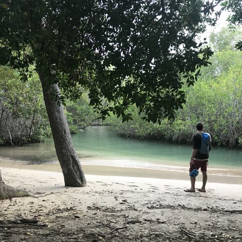 6 Días de Escapada a las Galápagos: Senderos Volcánicos y Encuentros con la Vida Silvestre