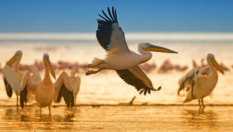 Ruta por el Valle del Rift, Serena Lodges 