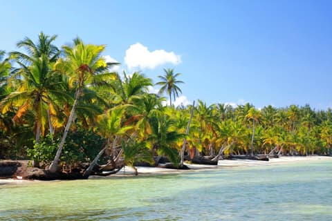 Karnataka with Exotic Goa Extension, French-speaking guide, Private Tour