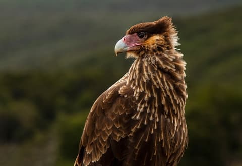 4-Day Classic Ushuaia: Tierra del Fuego National Park