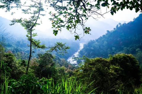 Cultural Highlights of Sri Lanka 6 Days, Private Tour