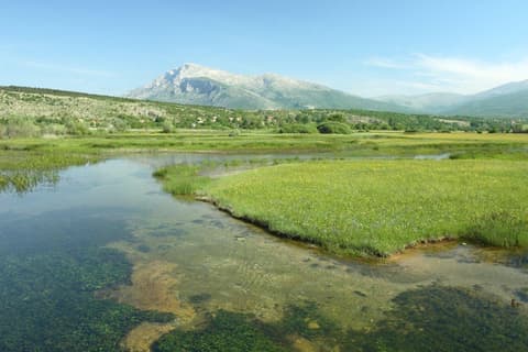 Split City Break, Private Tour