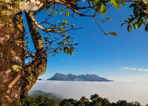 North Thailand Highlights, Small Group Tour (Other Languages)