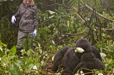 Roaming Rwanda, Option A (On Request)