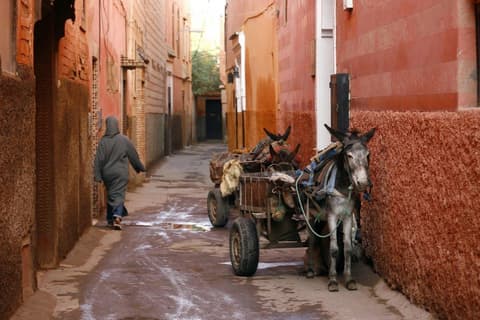 TUI Tours | Imperial Cities of Morocco, Small Group Tour