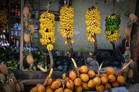 Kandy & Nuwara Eliya, Private Tour