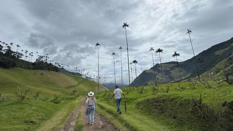 4-Day Pereira Coffee Region Experience, Private Tour