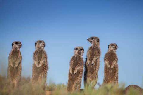 Cape Town, Kruger and Garden Route