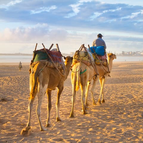 Oasis & Desert, 2 days, Private tour