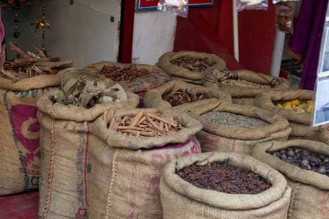 Triángulo Dorado con Kerala, Supersaver