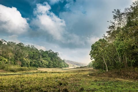 Kerala y Sur de La India