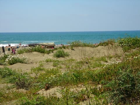 Camping Internazionale Di Castelfusano, 