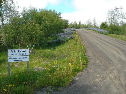 Vínland Guesthouse, 