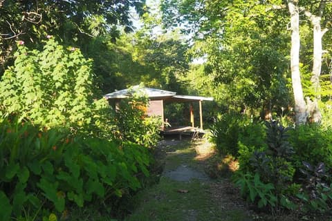 ataraxia bocas del toro, 