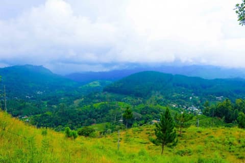 Yoho Hill Forest Cottage, 