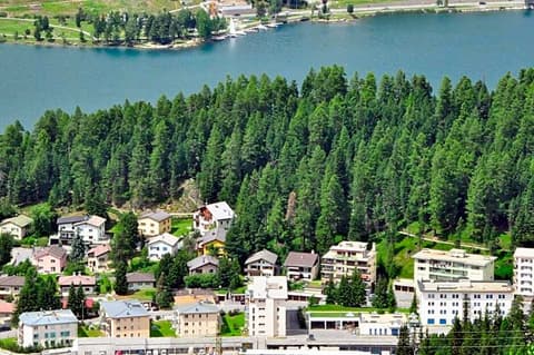 Chesa Albris Bed & Breakfast, 