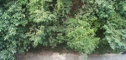 Hotel Hsiang Garden, 