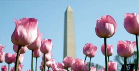 East West Adventure - Hotel in Downtown Los Angeles + Pre Package