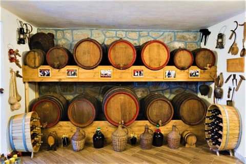 Relax and Enjoy in Montenegro