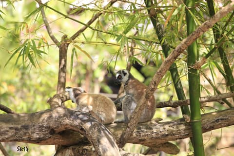 Discovering Nosy be Island & Surrounding