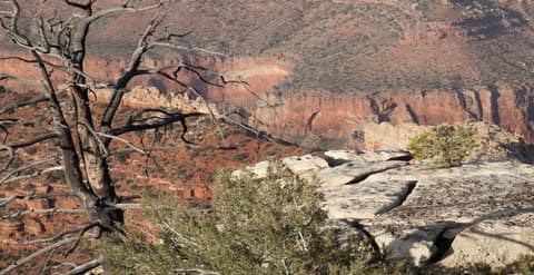 Golden West Adventure - Fine tour a Las Vegas