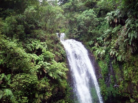 North Tour and Sea Stay