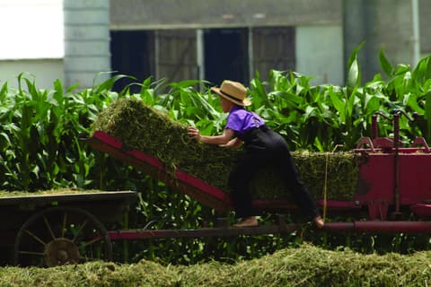 Le Grandi città dell'Est - Da New York a New York