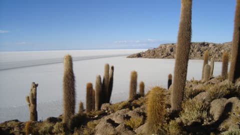 Bolivia Lagune